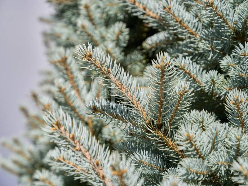 Foto a84563d0-27be-448b-bb8c-4b680e6499ad. Reihenhaus mit heizung parking in Fontanals de Cerdanya