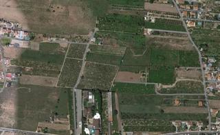 Finca rústica  Partida la plana. ¡oportunidad única! finca rústica en camino la plana – castellón