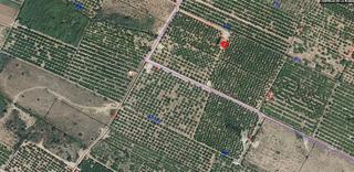 Finca rústica a Parque Sensal. Se vende finca rústica en plena producción – zona este de castel