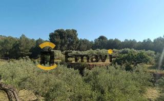 Propriété à Alcora (l´). ?? se vende finca rústica en partida prats – l’alcora ??