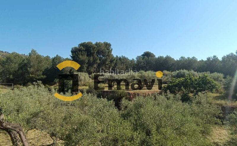 Foto 4c038e3a-ff17-4ecf-885f-2134a06958c0. Finca rústica a Alcora (l´)