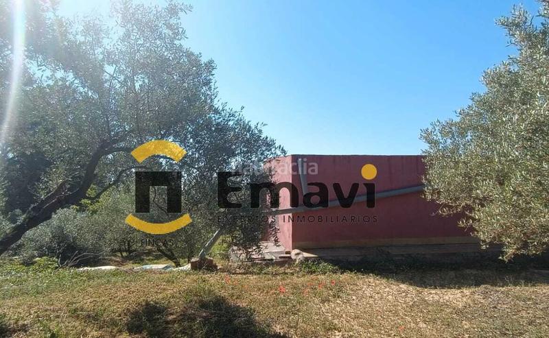 Foto 683b9358-dc1e-42d9-8f2e-7483f58d64ea. Finca rústica a Alcora (l´)