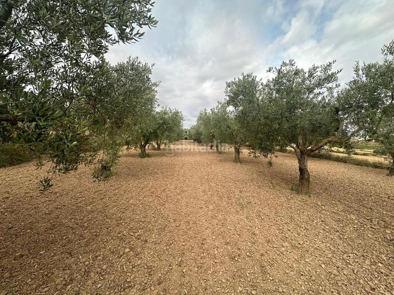 Foto 57140d2e-296c-4794-bef9-f1b485b26a83. Casa  con terreno en Caspe