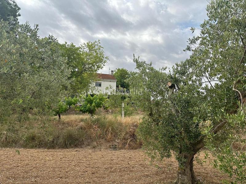 Foto 89d943be-2165-458f-a3f0-fb88cd7f8d01. Casa  con terreno en Caspe