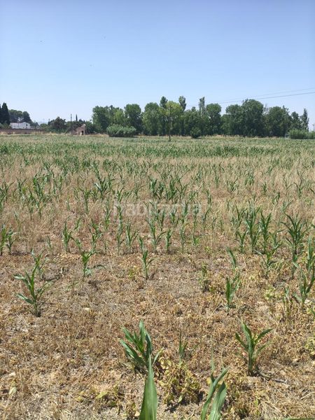 Foto 1b02c22b-0b97-4a64-b9fc-83978c2e2f19. Finca rústica a Garrapinillos Zaragoza