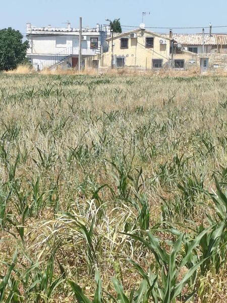 Foto 339d5ca2-d752-4456-8112-3cbbd3bbffd0. Finca rústica a Garrapinillos Zaragoza