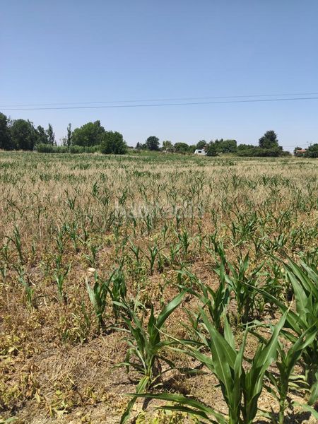Foto 75739ada-d04e-4fe5-a20f-1bae668a899a. Finca rústica a Garrapinillos Zaragoza