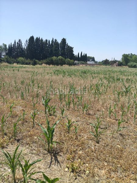 Foto b433c3d4-b551-4c09-aea6-0b8ef71214a3. Finca rústica a Garrapinillos Zaragoza
