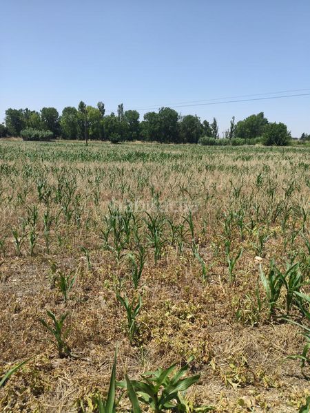 Foto bbd54318-6008-449a-842e-f21b9e381423. Finca rústica a Garrapinillos Zaragoza