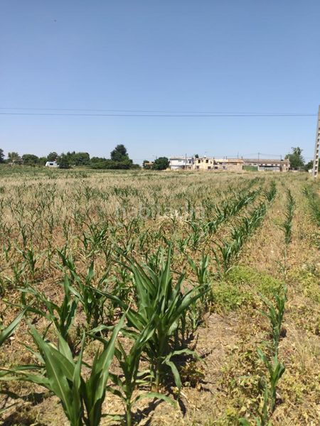 Foto cc339e95-f62c-4d45-8985-795d53758579. Finca rústica a Garrapinillos Zaragoza
