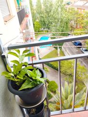 Location Appartement à San José Alto