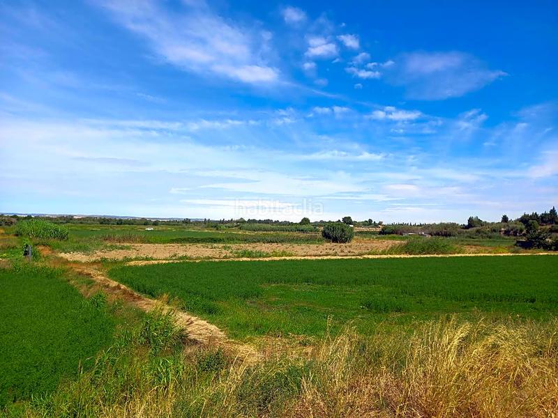 Foto 7a12e30e-98db-436e-b8bf-7f5e9bbbe516. Finca rústica a soto peña ortiz 96 a Peñaflor Zaragoza