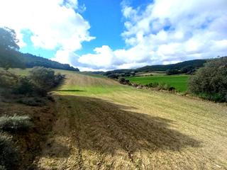 Finca rústica a Val de prior 80. Rústico de 21.000 m en castejón de valdejasa