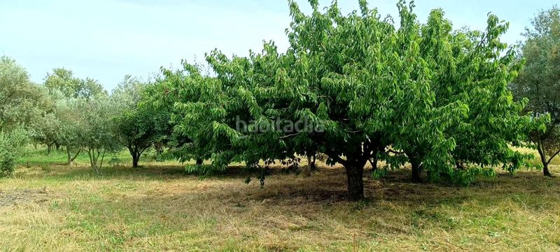 Foto 3af9f31d-5cf3-41c9-9304-80a4dd48d017. Masia a Mendavia