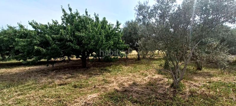 Foto 406e07f7-0356-43c0-b59a-736bbe4356bd. Masia a Mendavia
