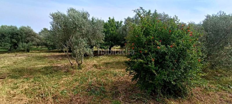 Foto 87767ed9-9403-48d4-9741-36bc3f8006d0. Masia a Mendavia