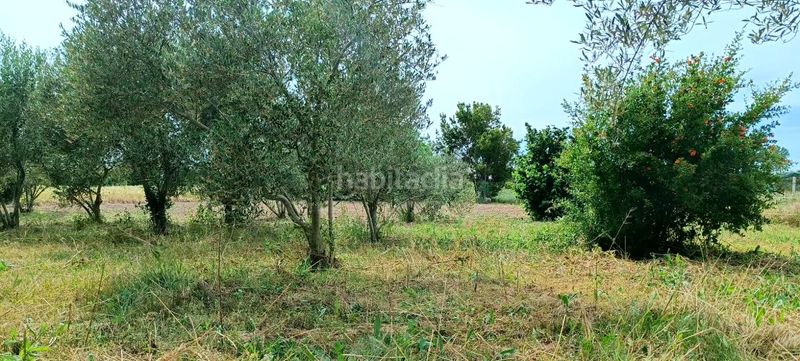 Foto c33955cc-2f9d-4186-97a8-919bf15d5a46. Masia a Mendavia