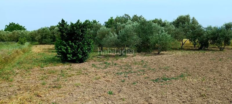 Foto d899051e-f198-4a61-84d9-ff29b4146ca7. Masia a Mendavia