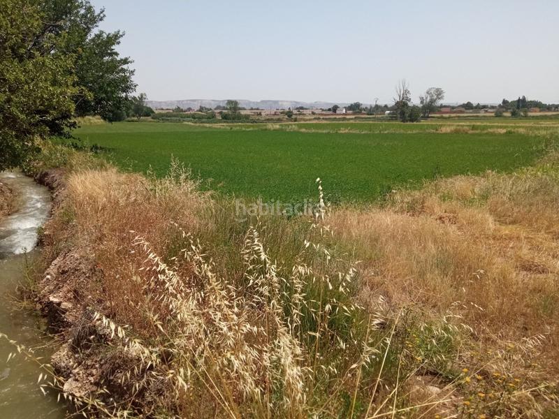 Foto ba629c18-0ec5-42fc-8932-39efe9dc1fa7. Finca rústica a Pinseque