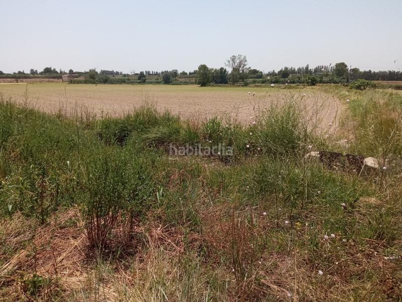 Foto e3ad758e-0ee1-440f-b0e6-23a25abc4aa3. Finca rústica a Pinseque