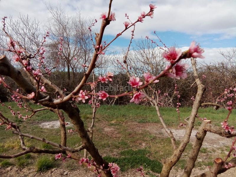 Foto 16a827f2-1200-4665-a2c4-3772747351b0. Finca rústica terreno -frutales-torre en Pastriz