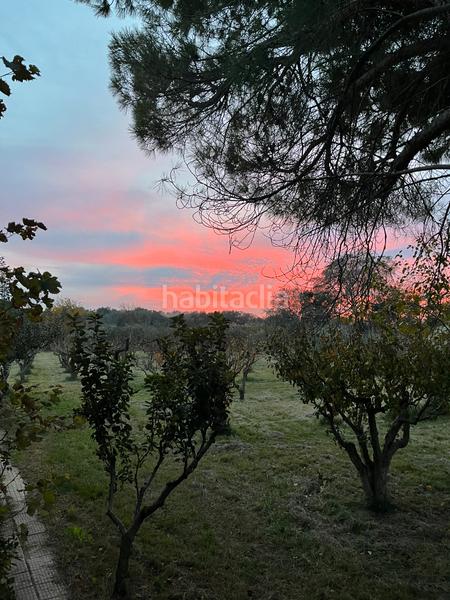 Foto c141a219-c877-4853-9a61-007cf720735c. Finca rústica terreno -frutales-torre en Pastriz