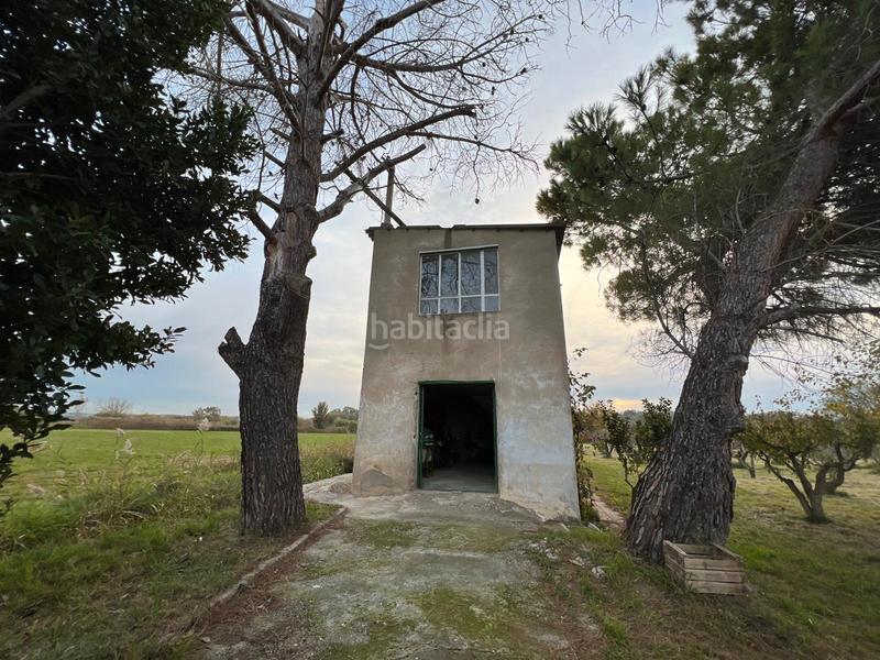 Foto e4326809-2788-48a8-9454-d1c0d6e8b61c. Finca rústica terreno -frutales-torre en Pastriz