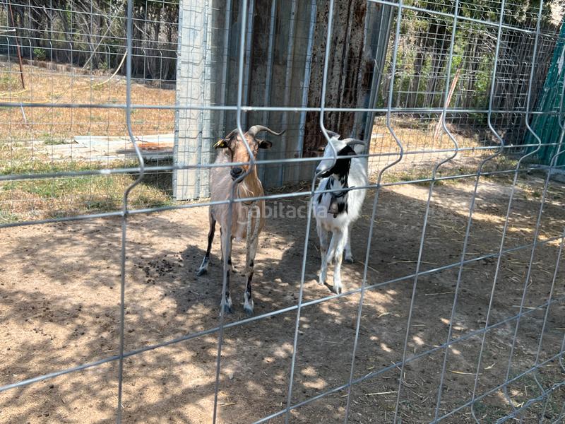 Foto 17c8f8e3-3a93-4650-80c7-4b6081de5ebd. Finca rústica terreno vallado-pozo-alfocea (Monzalbarba) en Zaragoza