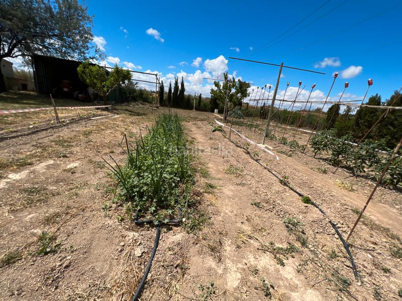 Foto dc26cb72-b127-4f2f-9f4d-b61e9b5a4f4b. Finca rústica terreno vallado-pozo-alfocea (Monzalbarba) en Zaragoza