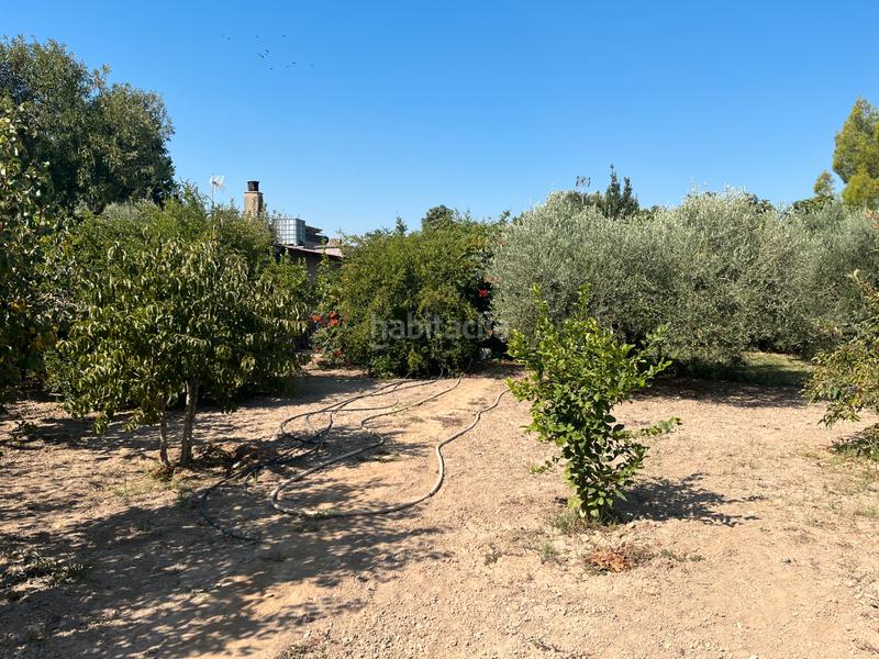 Foto 1d4f3fcd-1ea8-430a-8800-054c635464b2. Xalet amb xemeneia piscina a Burgo de Ebro (El)