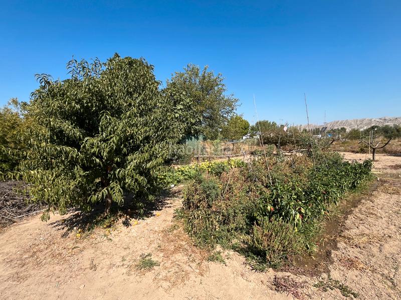 Foto 5fd90ff6-1496-42b9-815e-160928373df7. Xalet amb xemeneia piscina a Burgo de Ebro (El)