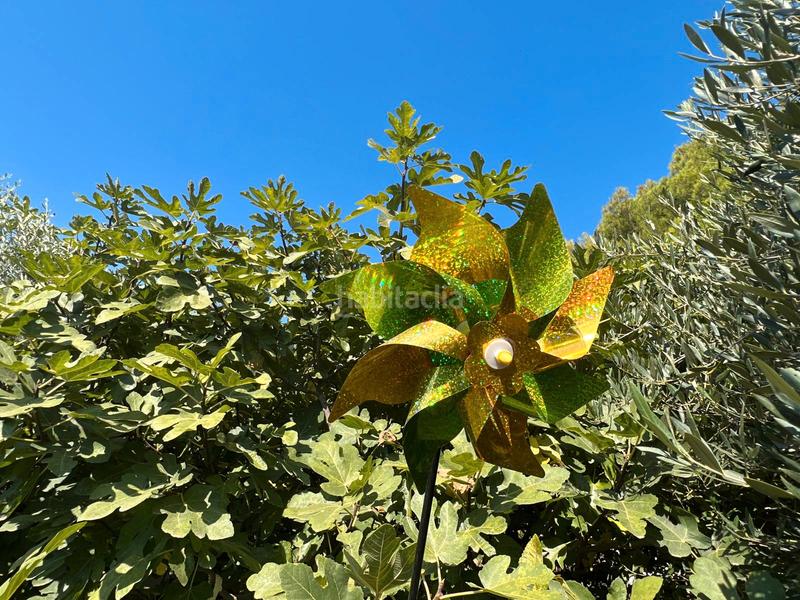 Foto 79228bfc-3b7d-4c31-9e9a-670081157361. Xalet amb xemeneia piscina a Burgo de Ebro (El)