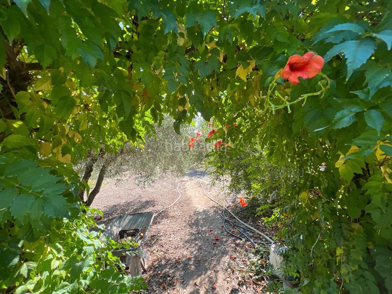 Foto 8a937451-24c8-48a6-8e01-de8f95c9e26b. Xalet amb xemeneia piscina a Burgo de Ebro (El)