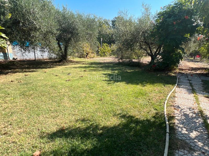 Foto e289a194-a669-424c-93ad-1ce78aa985f7. Xalet amb xemeneia piscina a Burgo de Ebro (El)