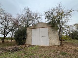 Rural plot in Garrapinillos. Terreno de 5576 m2 + nave con bodega/cocina/baño en garrapinillo