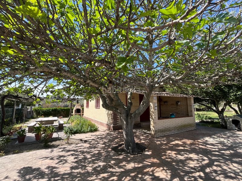 Foto 4d17a2a4-bde1-47c8-ae33-575f2ea9d09a. Finca rústica a Salvador Allende Zaragoza