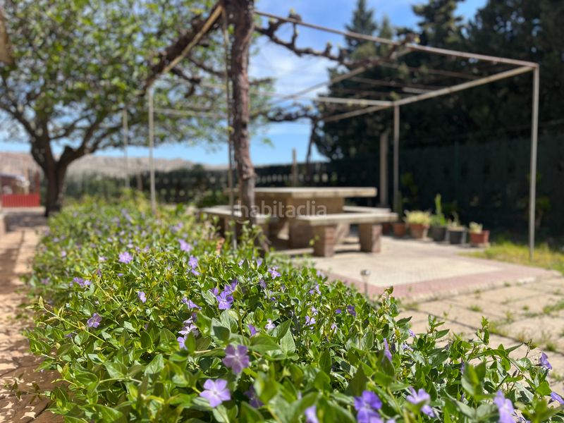 Foto 559d7f8f-fa7c-433c-aaed-0fd9f31be72f. Finca rústica a Salvador Allende Zaragoza