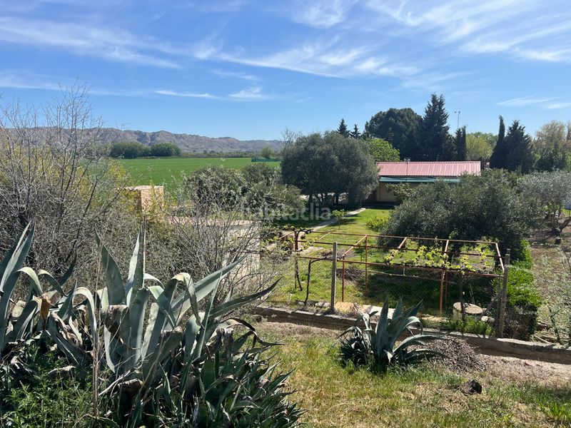 Foto 8eb551e0-98e1-4d4b-af11-9a74cc88256f. Finca rústica a Salvador Allende Zaragoza