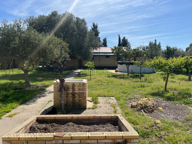 Foto acf6f4d9-e8a1-4e19-b9f0-d2cdb0f53c65. Finca rústica a Salvador Allende Zaragoza