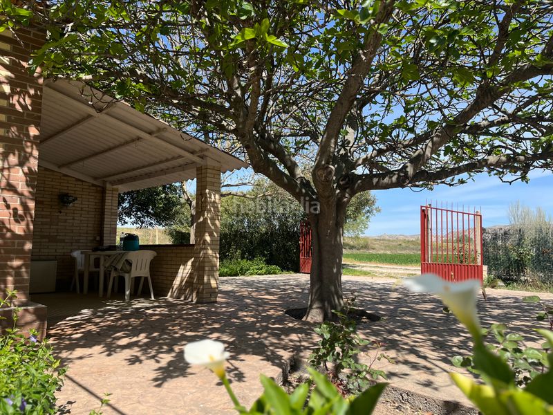 Foto d828bf29-5b8b-4e0b-ae5a-a9721c1c1eaf. Finca rústica a Salvador Allende Zaragoza