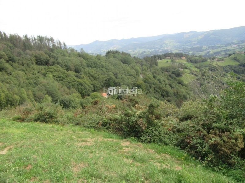Foto e02b871a-83d3-4cae-b61b-d6e59002da14. Terreny residencial a Aia