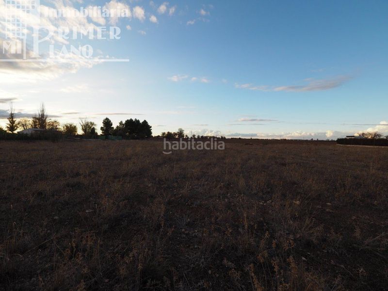 Foto 19e674c6-9505-4993-a265-21e3a09fe3b1. Masía se vende parcela con agua en la alavesa con 2933 metros cuadrados en Argamasilla de Alba