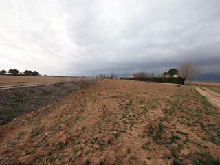 Propriété à Argamasilla de Alba. Se vende parcela en la zona de la alavesa con 6179m2 y agua