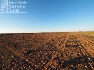 Masia a Tomelloso. Se vende 1 hectarea de viña de secano junto a la carretera de so