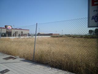 Location Local commercial à Tomelloso. Se alquila solar para negocio por sólo 1.500
