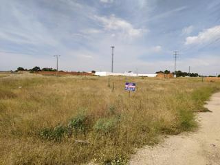 Terreny residencial a Argamasilla de Alba. Se vende solar de 4242m2 en camino santa maria  poligono 20
