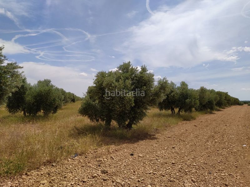 Foto 5ab30c1c-8e99-435c-a673-63afdd2b473e. Masia a Tomelloso