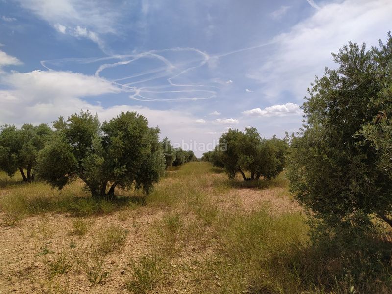 Foto a88e6798-5eda-4923-8a10-db61e59764f1. Masia a Tomelloso