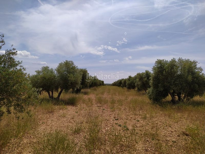 Foto aae5e948-bbf5-40f6-a01d-fcda8acede67. Masia a Tomelloso