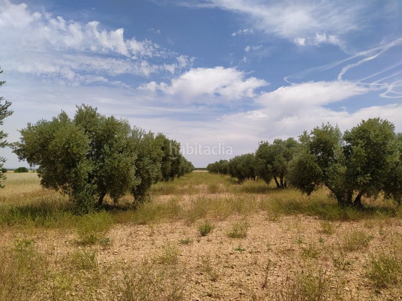 Foto d15ee29e-41ec-42fa-9bd1-df51cee239f2. Masia a Tomelloso
